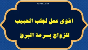 اقوى عمل لجلب الحبيب للزواج بسرعة البرق