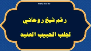 رقم شيخ روحاني لجلب الحبيب العنيد